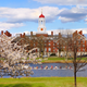Image for article titled Leaked Report Shows That Harvard Has 7,000 Remains of Native Americans, And 19 Enslaved People